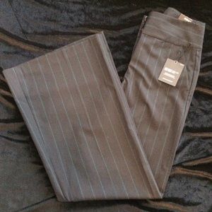 Express Editor NWT dress pant